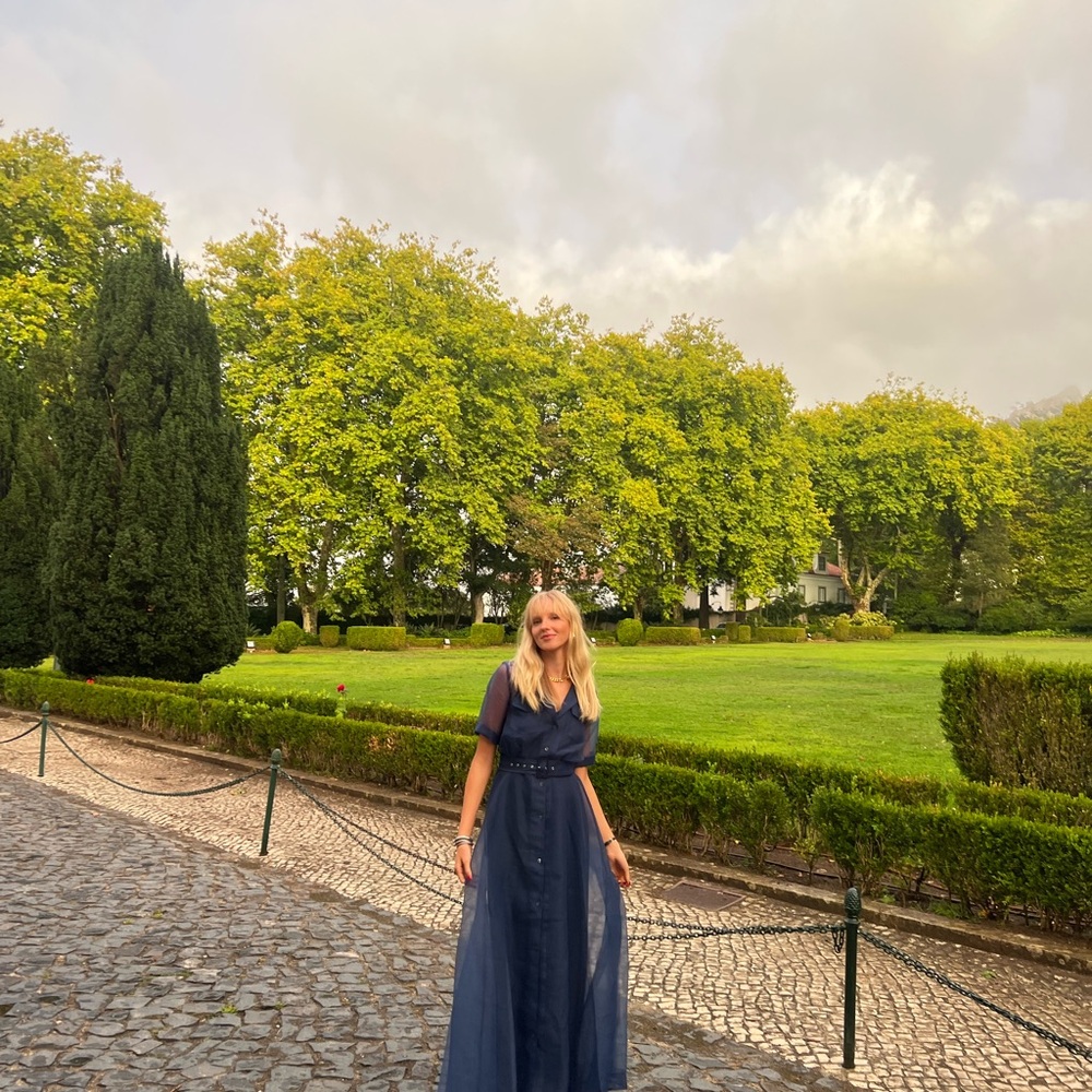 Staud Navy Blue Mesh Maxi Dress - barely worn